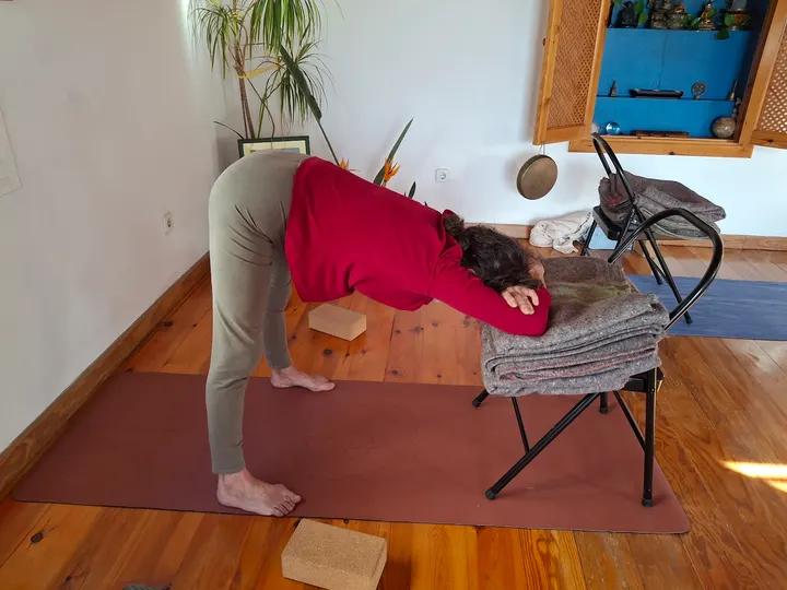 Centro Ávalon Yoga — yoga-studio en Valle de los Galanes, Málaga — 2