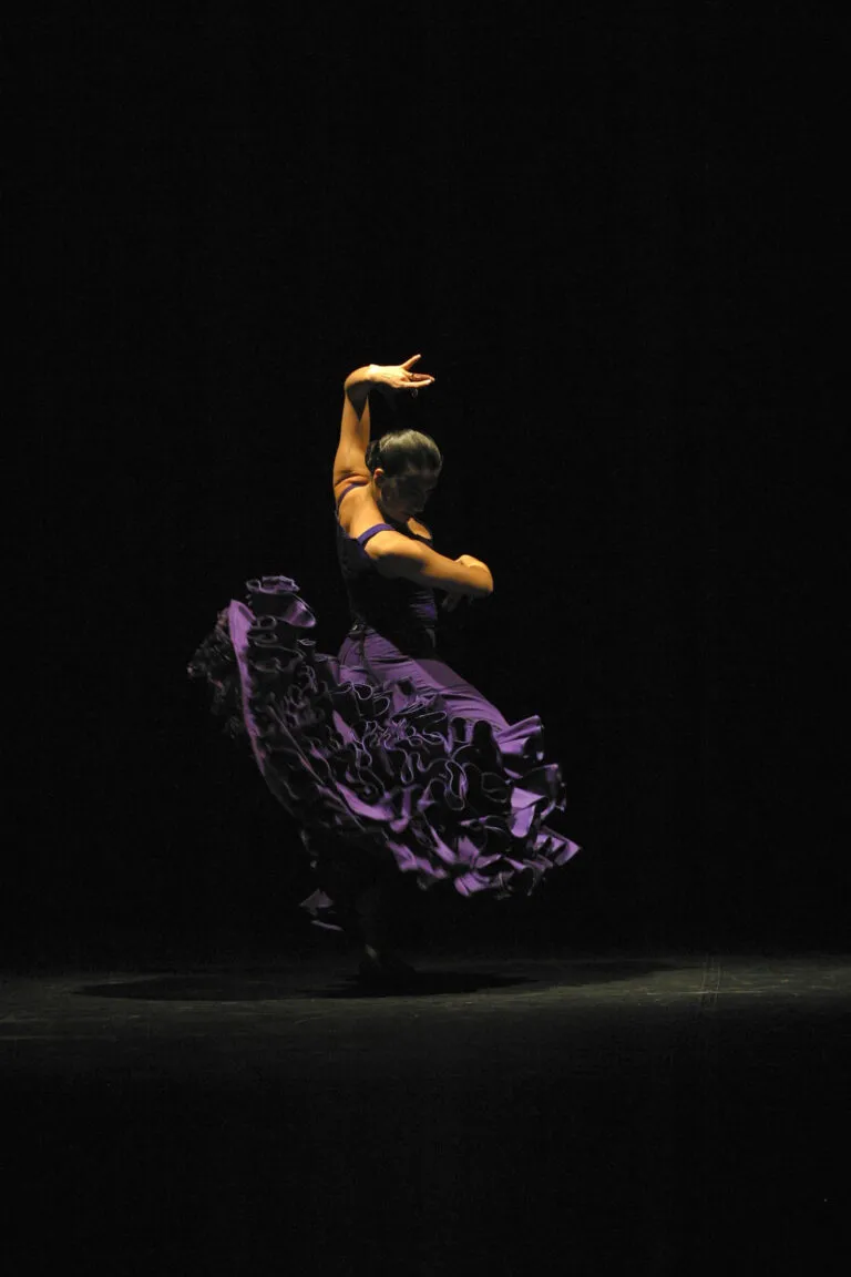 Flamenco Center - Danskurser/event/föreställningar — dans-studio i Östermalm, Stockholm — bild 3