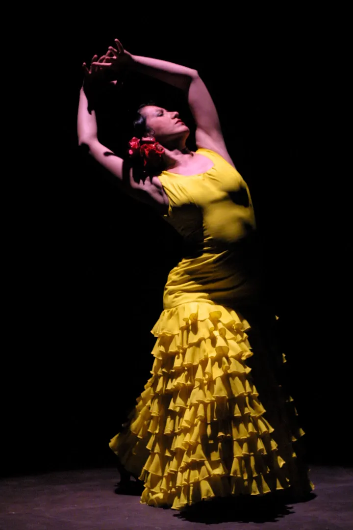Flamenco Center Danskurser — dance-studio in Stockholm — 3
