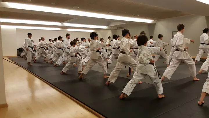 Cercle parisien shotokan — arts martiaux-studio à Quartier Saint-Georges, Paris — 3