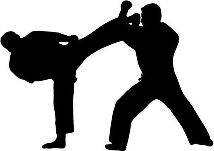 USKA - United Styles Karate Academy — martial arts-studio in Brandlesholme, Bury — 3
