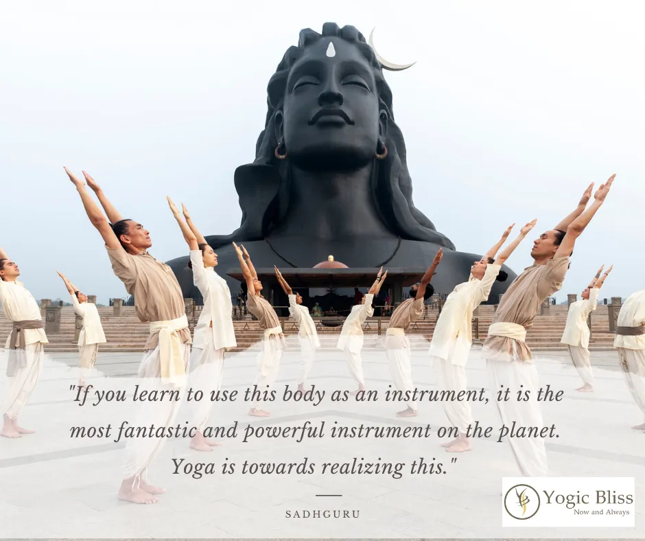 Yogic Bliss — yoga-studio i Brøndby, København — 3