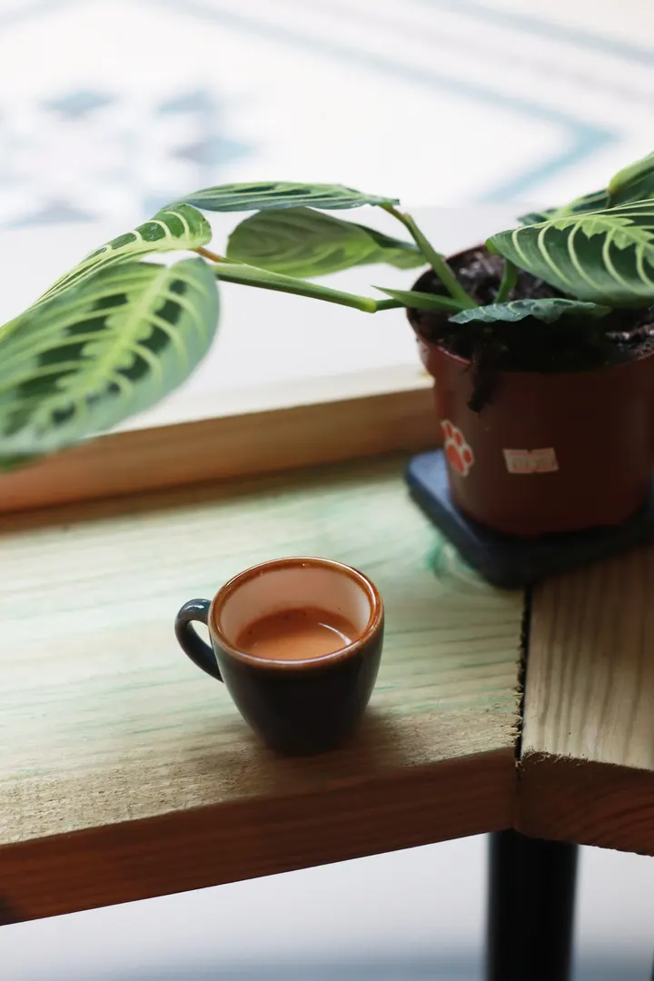 Yoga and Nourish — yoga-studio in Newport — 3