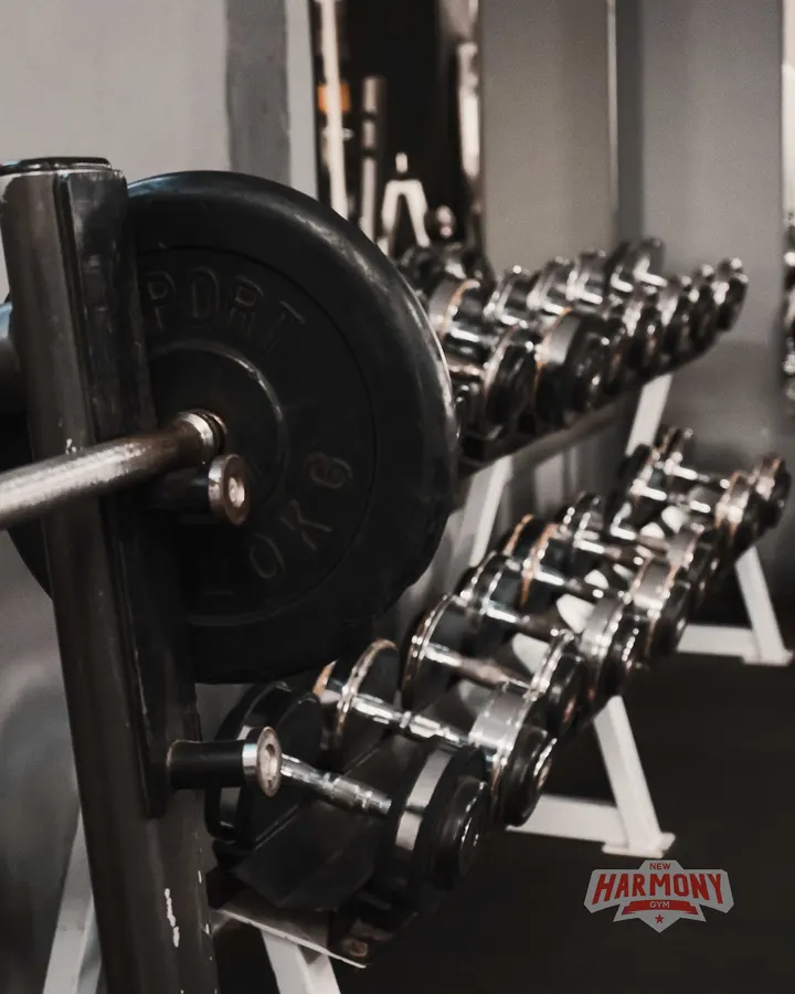New Harmony Gym — Estudio de fitness en Zaidín - Vergeles, Granada