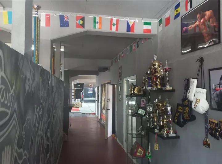 Sousa’s Elite Kampfsportzentrum — kampfsport-studio in Mannheim — 3