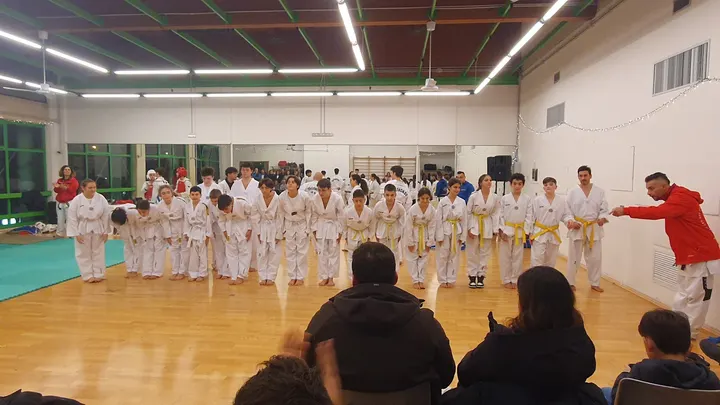 Taekwondo Bari Bek Doo San — arti marziali-studio a Mungivacca, Bari — 3