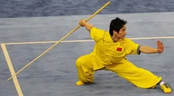 KUNG FU WUSHU à LYON — Arts martiaux à Lyon 7e Arrondissement, Lyon