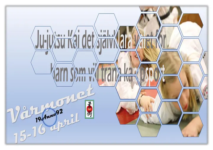 Nybro Ju-jutsu Klubb — bjj-studio i Hagnebo, Nybro — 2