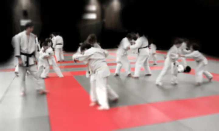 Nybro Ju-jutsu Klubb — brazilian jiu-jitsu-studio i Hagnebo, Nybro