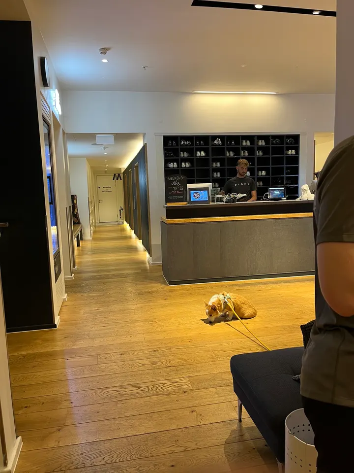 Digme Fitness Bank — recovery-studio in Leadenhall Market, London — 3