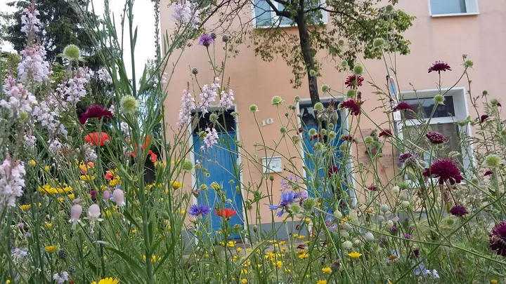 Sivaraja Yoga Zentrum Bielefeld — Yoga in Mitte, Bielefeld
