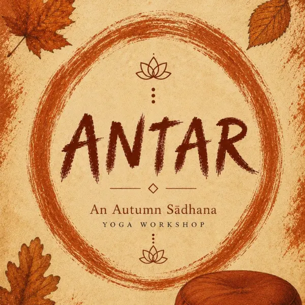 Yogasara — yoga-studio in Bristol — 3