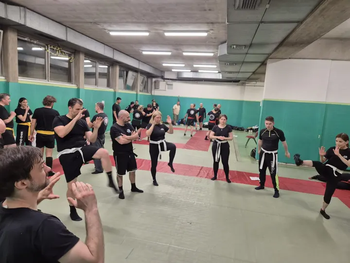 Krav Maga Verona. Net — Arti marziali a Borgo Milano, Verona