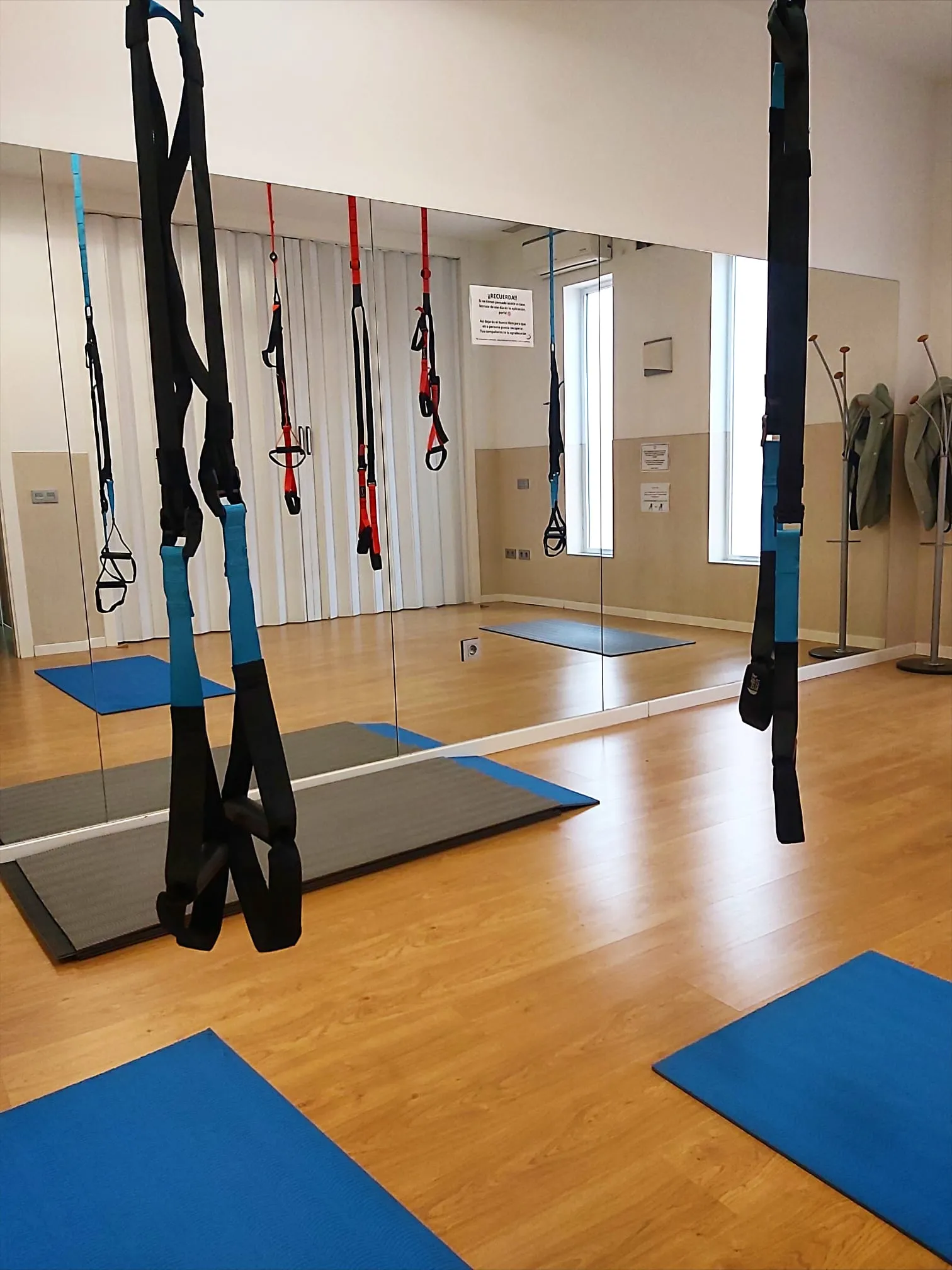 CLÍNICA FISANIS fisioterapia, osteopatía, Pilates, terapia miofascial y podología — pilates-studio en Málaga — 2