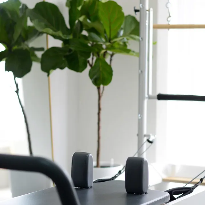 Salt + Bear Pilates — pilates-studio in Kenilworth — 2