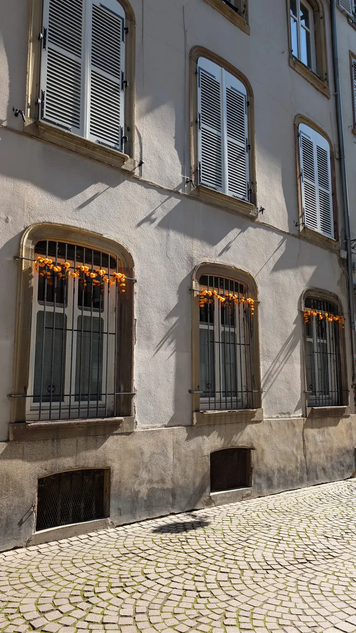 YOGIZ Strasbourg — Yoga à Centre, Strasbourg