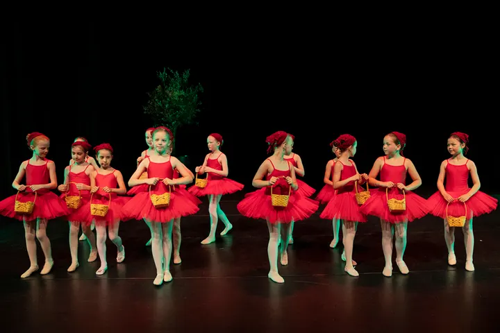 Balletschool Annelies Marijs — Dans in Klaphek, Ede