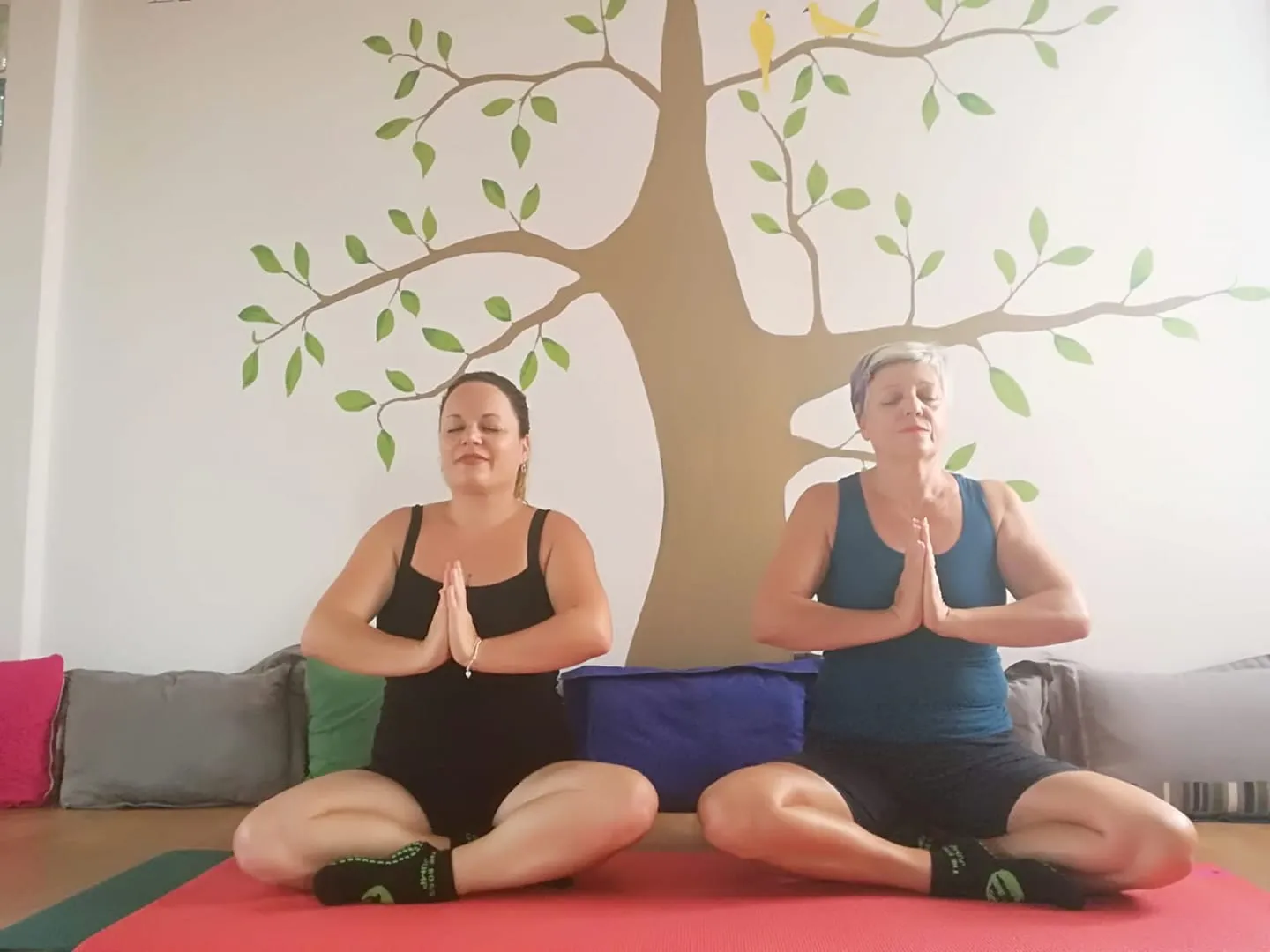 Tu Equilibrio Natural — yoga-studio en Los Alcázares — 4