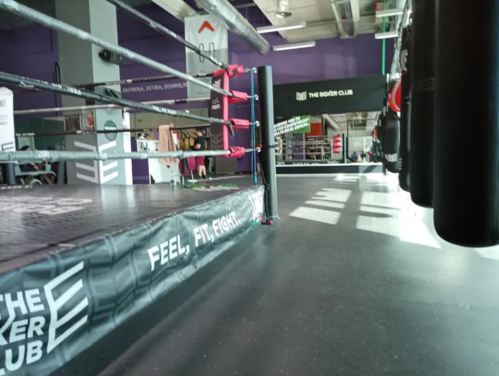 The Boxer Club El Ingenio — Boxeo en Real Bajo, Málaga