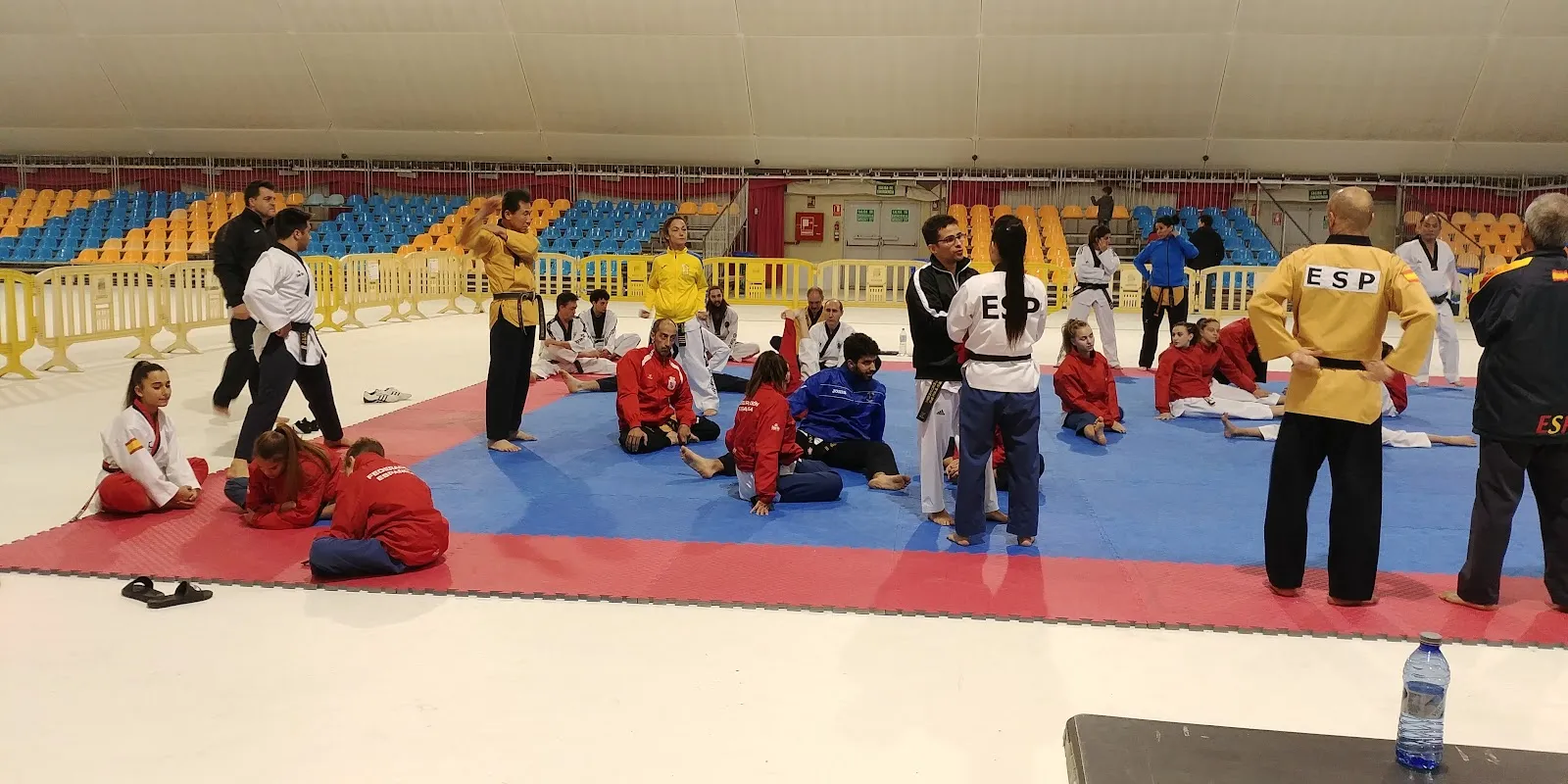 Taekwondo Quevedo León — artes marciales-studio en León — 3