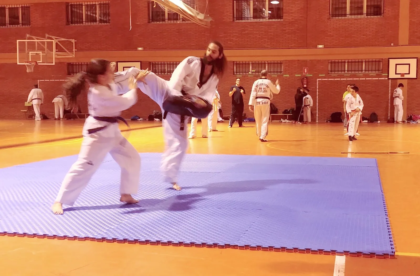 Taekwondo Quevedo León — artes marciales-studio en León — 4