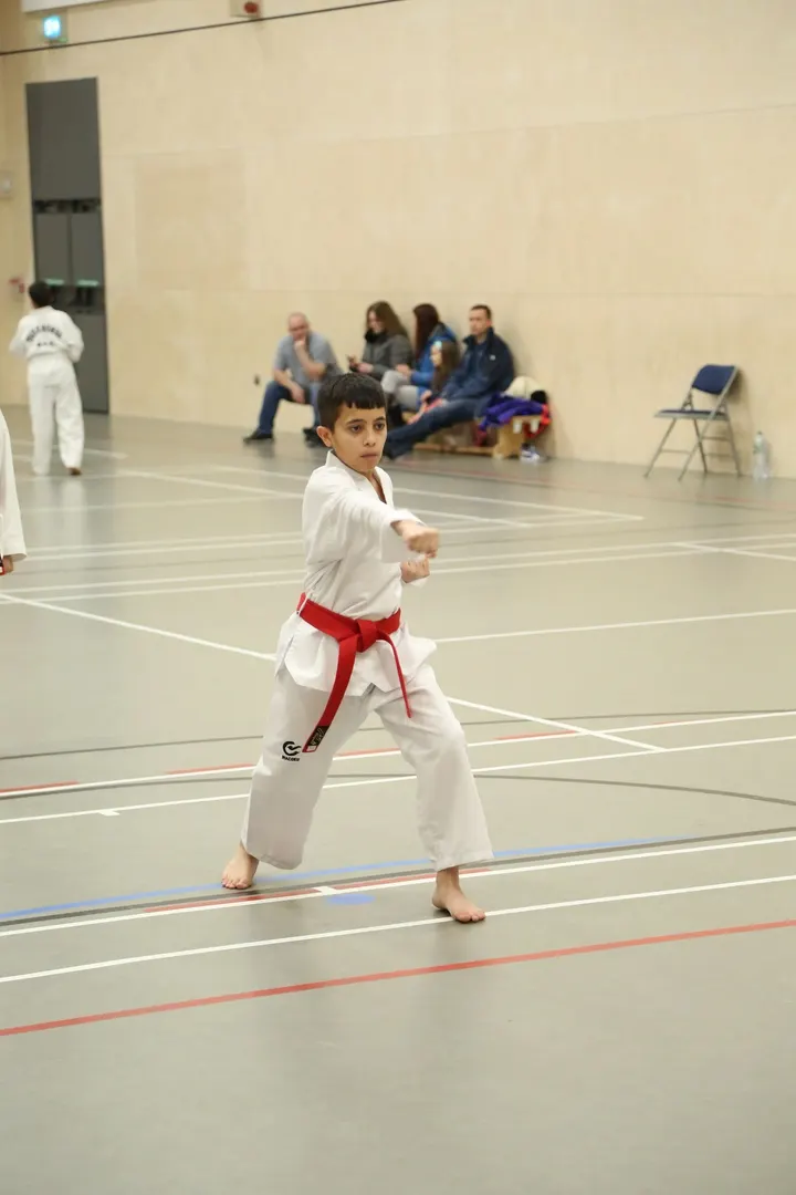 Mirza Taekwondo Community — martial arts-studio in West Green, London — 3