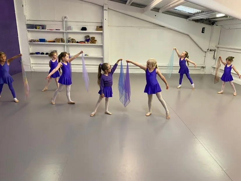 Rhythm in Movement Dance Studio — aerial-studio in Swanpool, Lincoln — 2