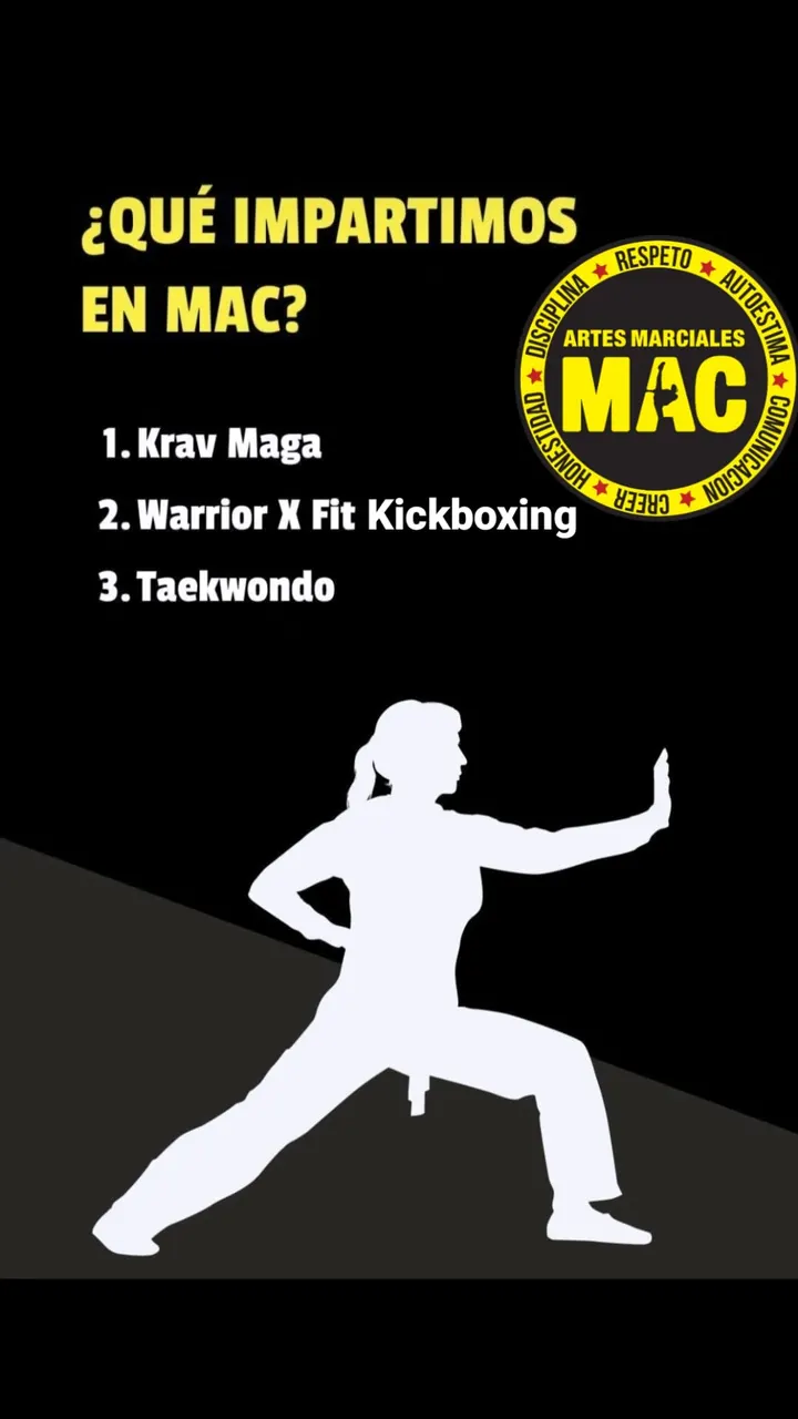 Centro De Artes Marciales Mac Zaragoza — artes marciales-studio en Jesús, Zaragoza — 2