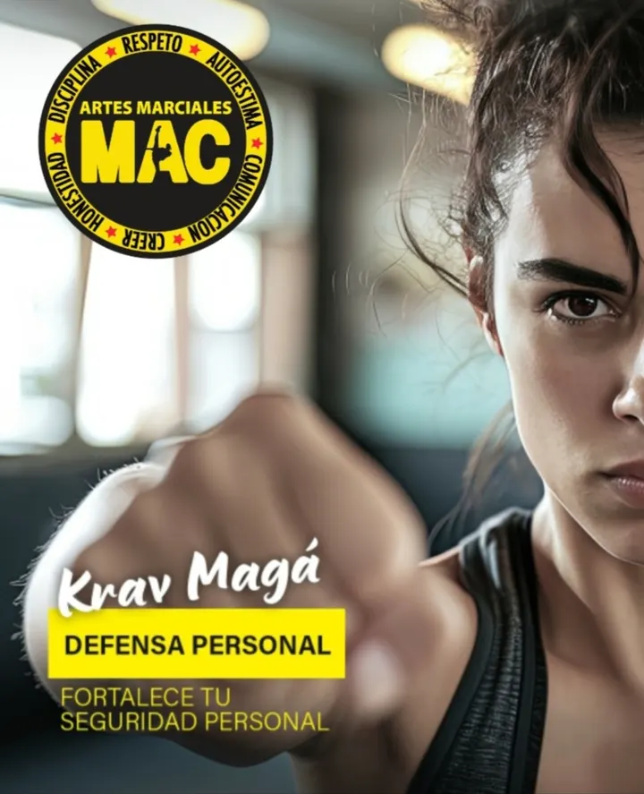 Centro De Artes Marciales Mac Zaragoza — artes marciales-studio en Jesús, Zaragoza — 3
