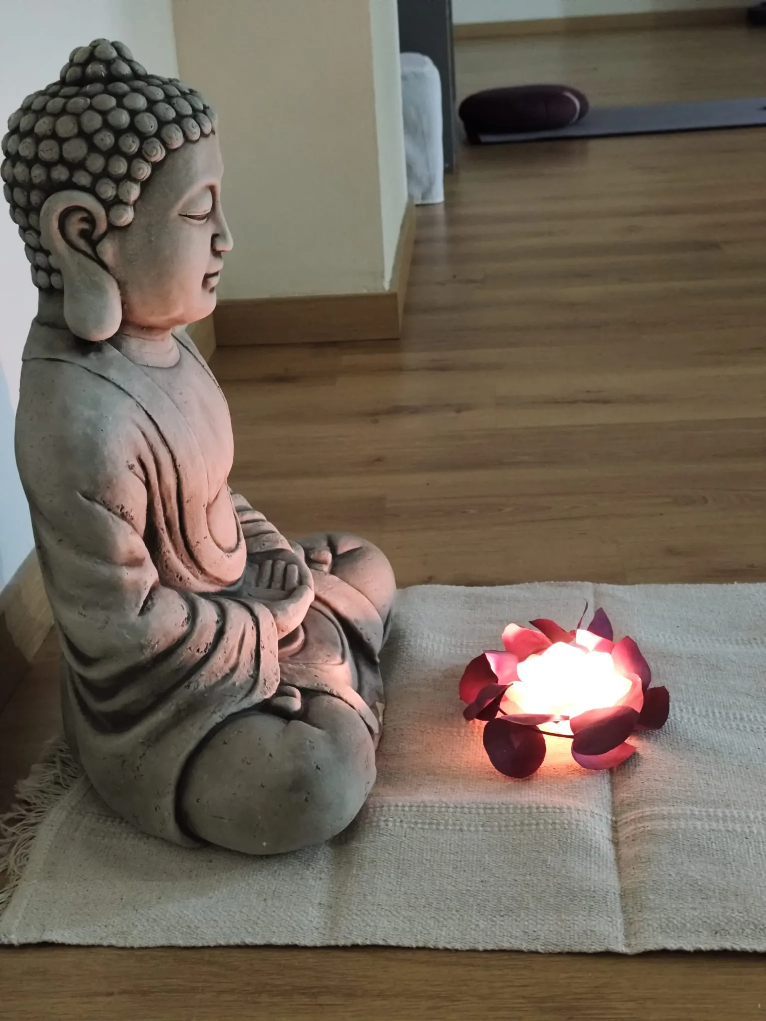 Vida Zenter Luz Albor — yoga-studio en Dos Hermanas — 3