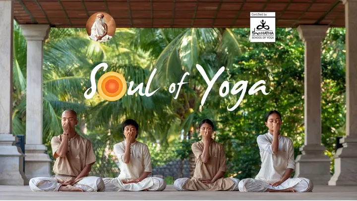 Soul of Yoga - Frankfurt — yoga-studio in Heddernheim, Frankfurt am Main — 3