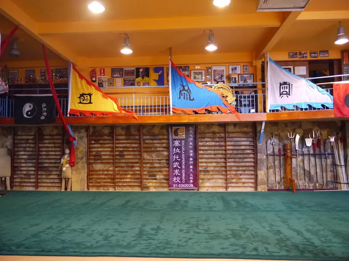 Serrato Superior School Wudao — artes marciales-studio en Madrid — 4