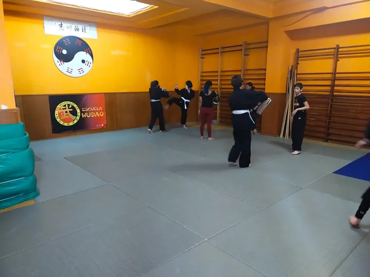 Serrato Superior School Wudao — Artes marciales en Tetuán, Madrid