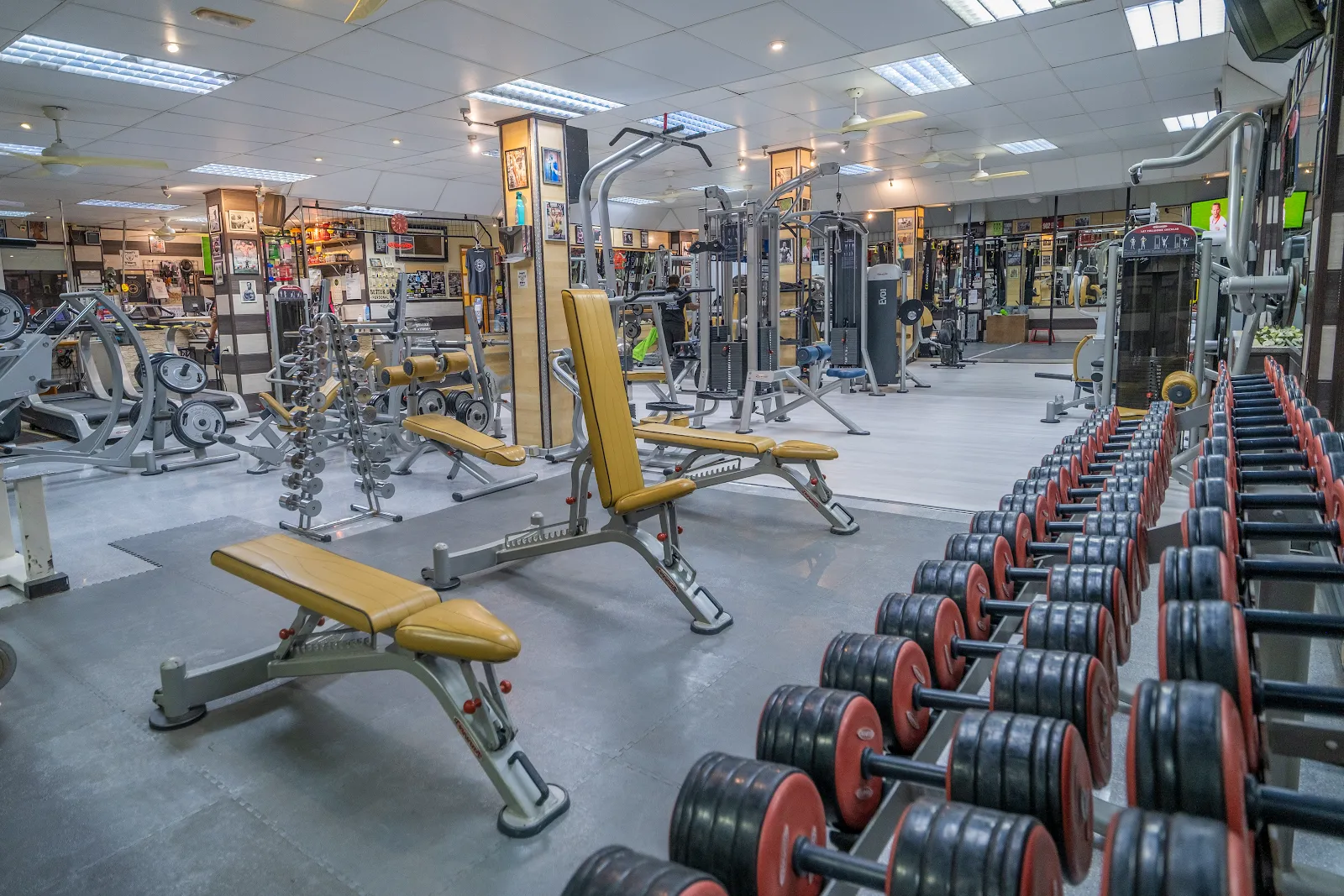Gym Better Bodies — estudio de fitness-studio en Puerto Rico — 3