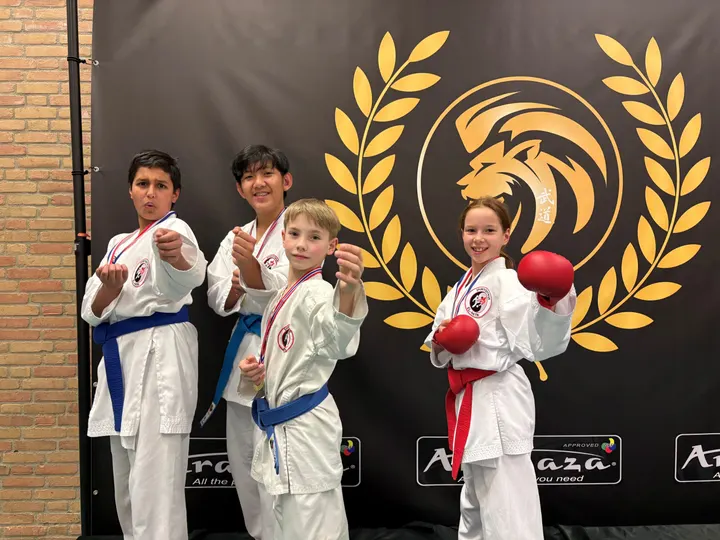 Stichting Topsport ElHatri — vechtsport-studio in Eindhoven — 5