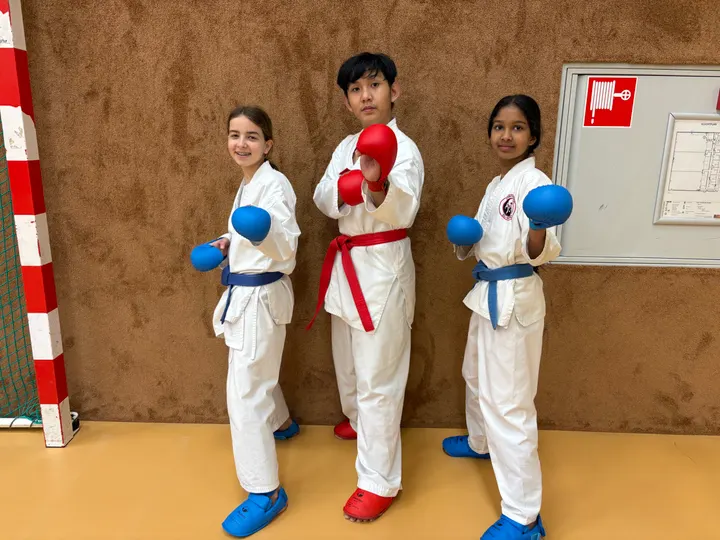 Stichting Topsport ElHatri — vechtsport-studio in Eindhoven — 6