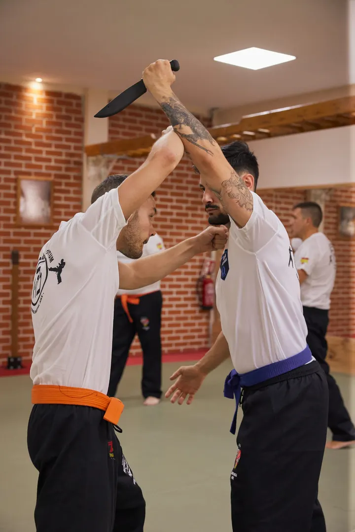 Tsukurido — Artes marciales en Villaverde, Madrid