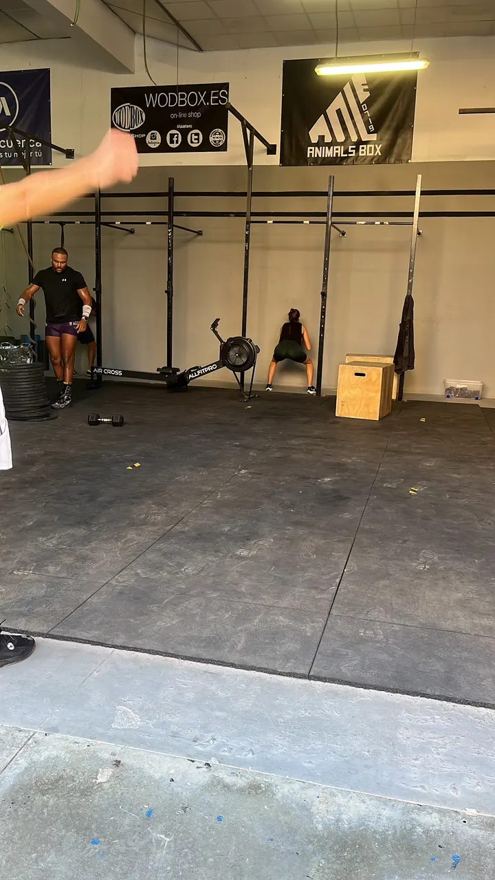 0719 Animals Box — CrossFit en Industrial Nuevo San Andrés, Málaga
