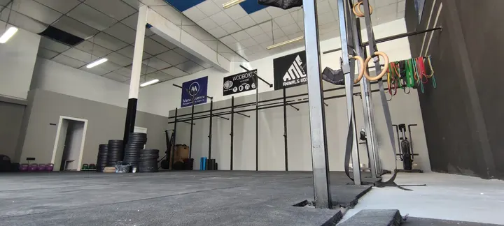 0719 Animals Box — crossfit-studio en Industrial Nuevo San Andrés, Málaga — 2