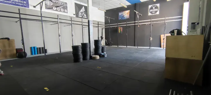 0719 Animals Box — crossfit-studio en Industrial Nuevo San Andrés, Málaga — 3