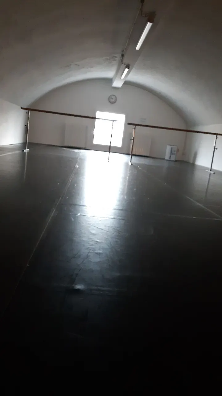 Formazione Danzarte Genova ASD — danza-studio a San Vincenzo, Genova — 2