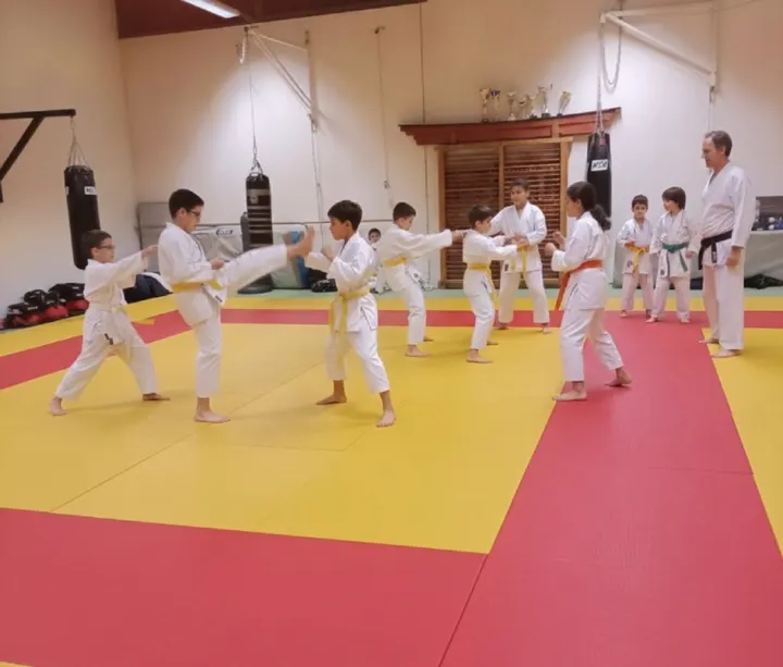Fenouillet Karaté Club — arts martiaux-studio à Fenouillet, Toulouse — 2
