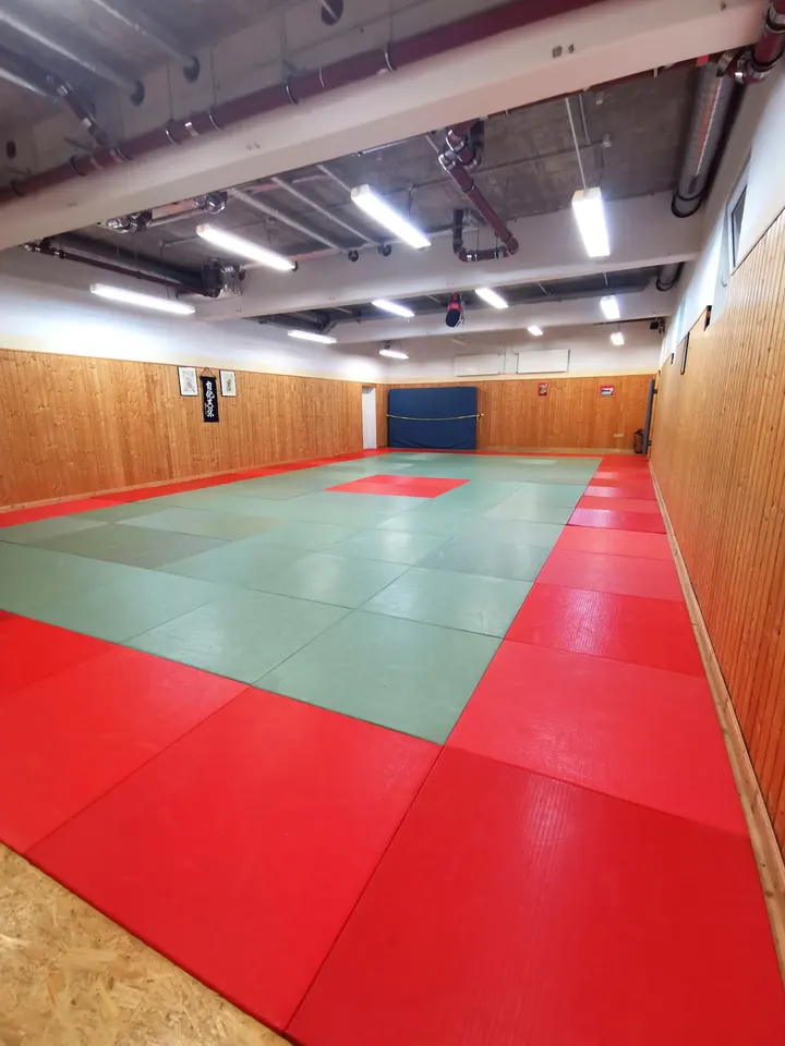 Jujutsu Dojo Burgweinting — bjj-studio in Regensburg — 3