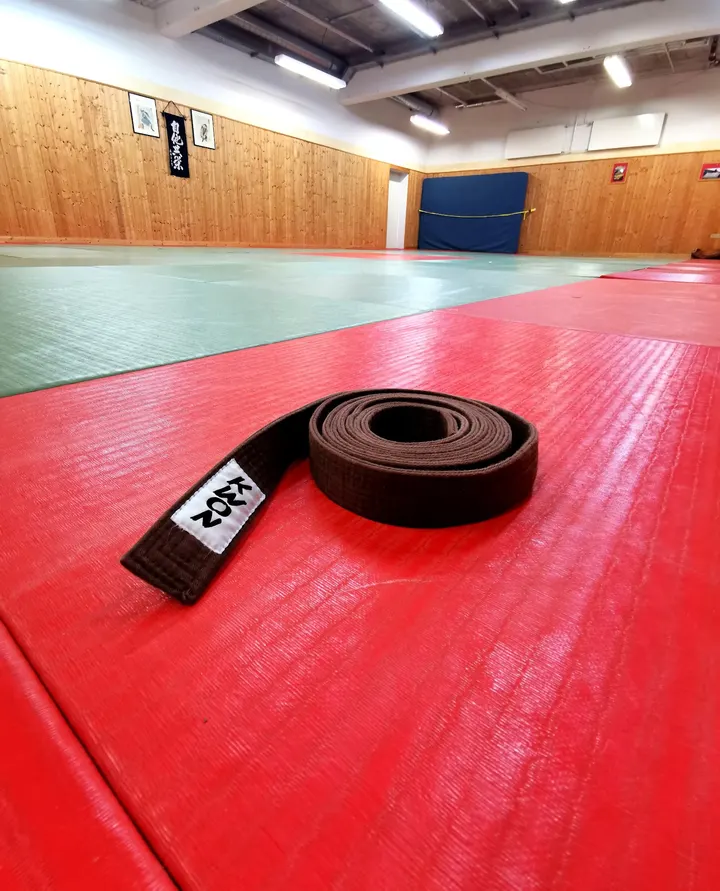 Jujutsu Dojo Burgweinting — BJJ in Ostenviertel, Regensburg