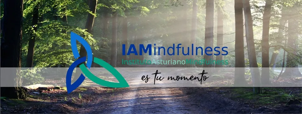 Instituto Asturiano de Mindfulness — meditación-studio en Avilés — 2