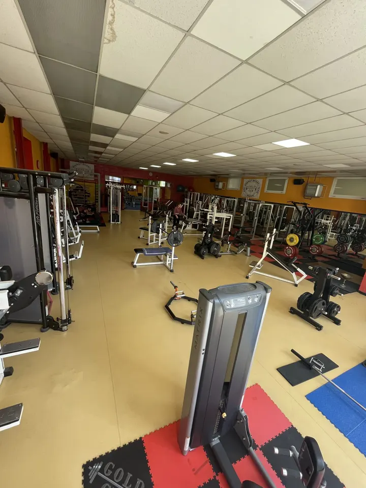 Gold Gym Riva — palestre-studio a Riva presso Chieri — 3