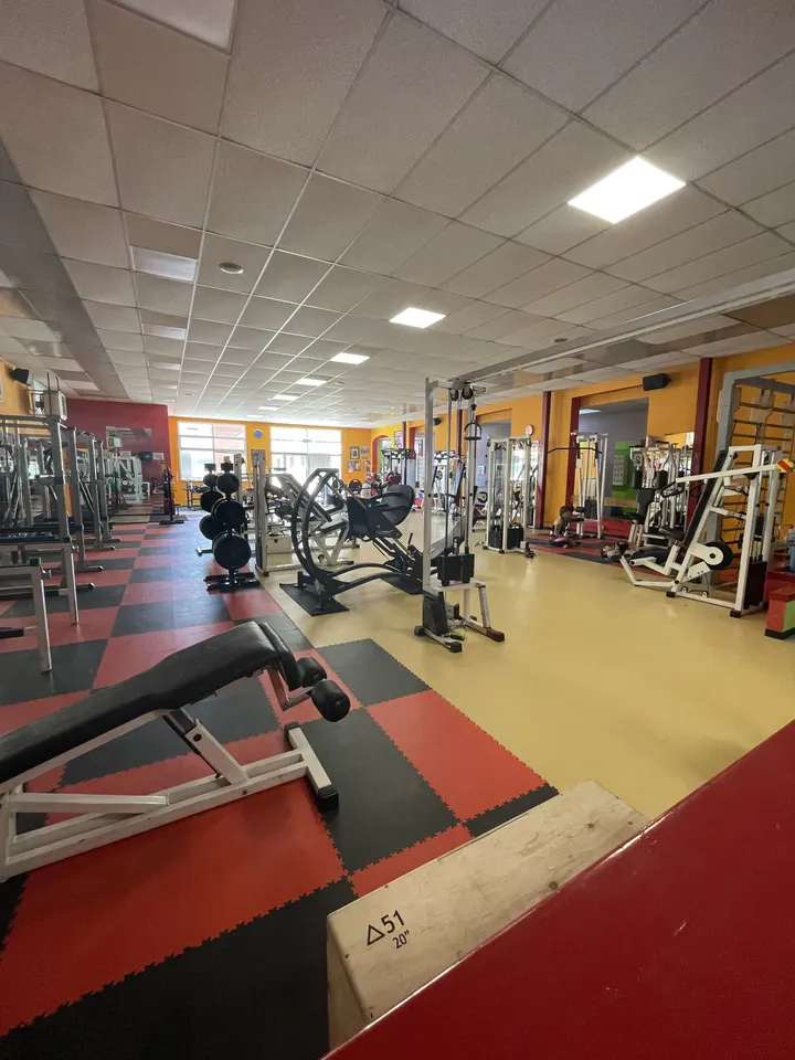 Gold Gym Riva — Palestre a Riva presso Chieri