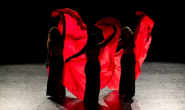 Studio Yzélia — danse-studio à Saint-Étienne — 5