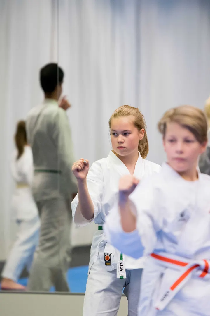 Budokwai ry — kamppailulajit-studio – Turku — 5