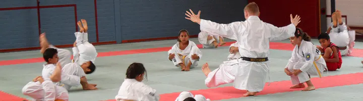 Budo Vereniging Unity99 — Vechtsport in Prins Alexander, Rotterdam